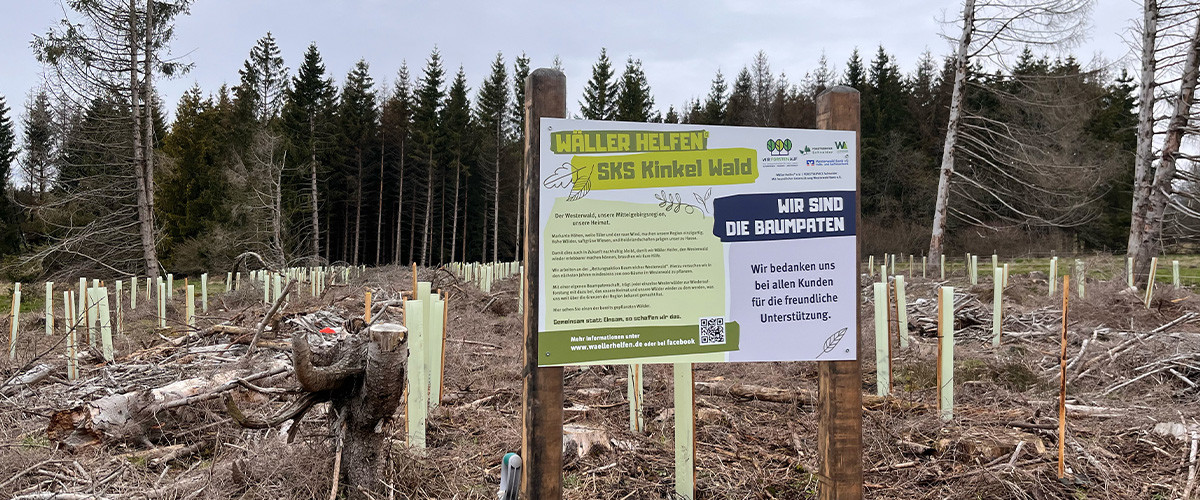 SKS Wald mit Schild